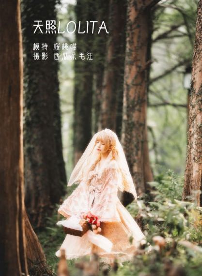 爱的迫降有国语版配音吗_HD在线视频观看